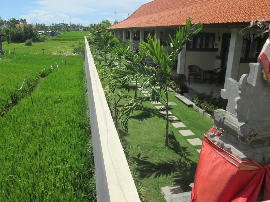 Ayu Guest House 2 Canggu Eksteriør billede